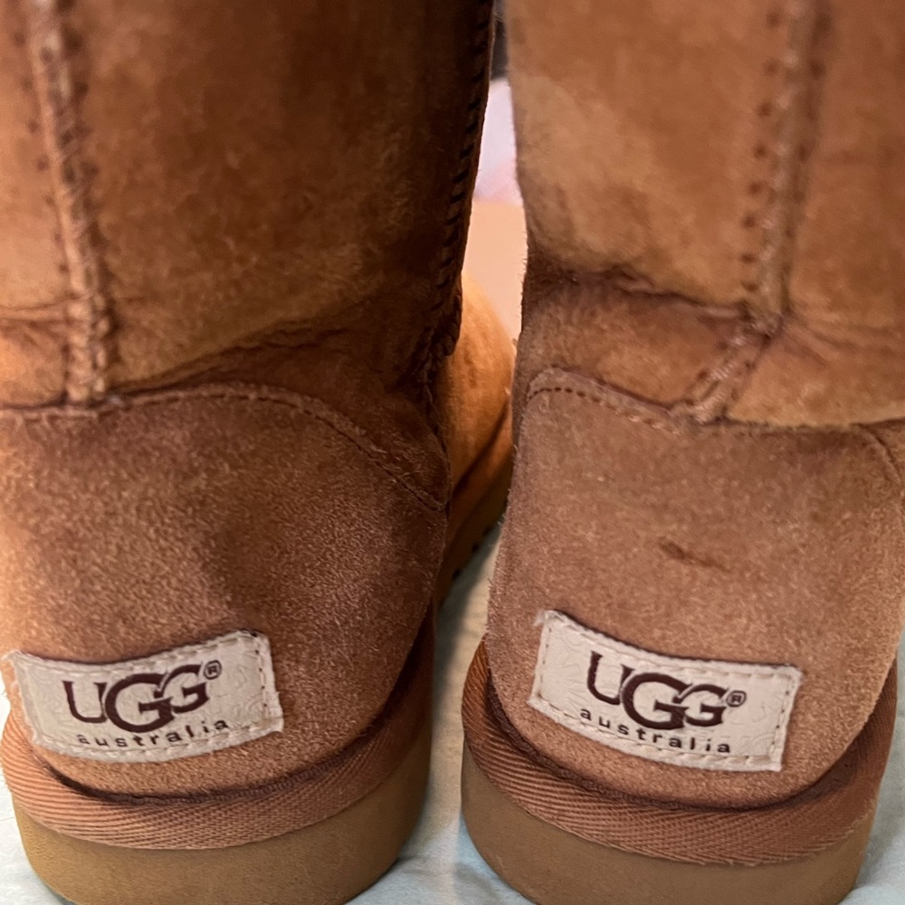 Ugg women size 6. Chestnut classic short.
